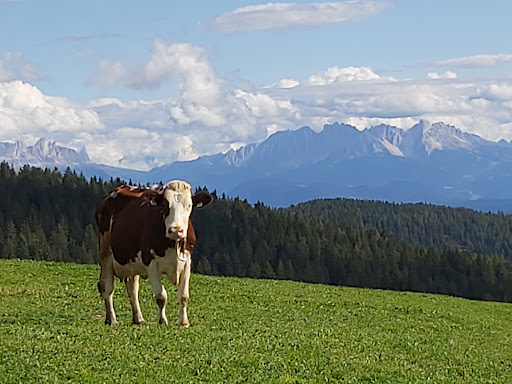 Vöraner Alm - Thumbnail