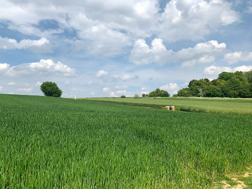 Beaumont-Hamel British Cemetery - Thumbnail