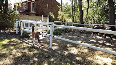 Photos of BLUE CROSS VETERINARY HOSPITAL