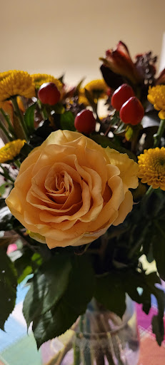 Blumenhaus Anemone Potsdam - Thumbnail