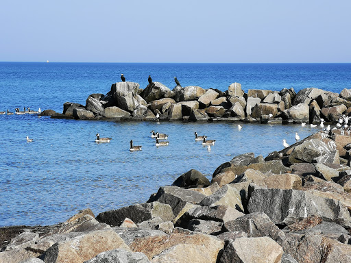 Campingplatz Heidkoppel - Thumbnail