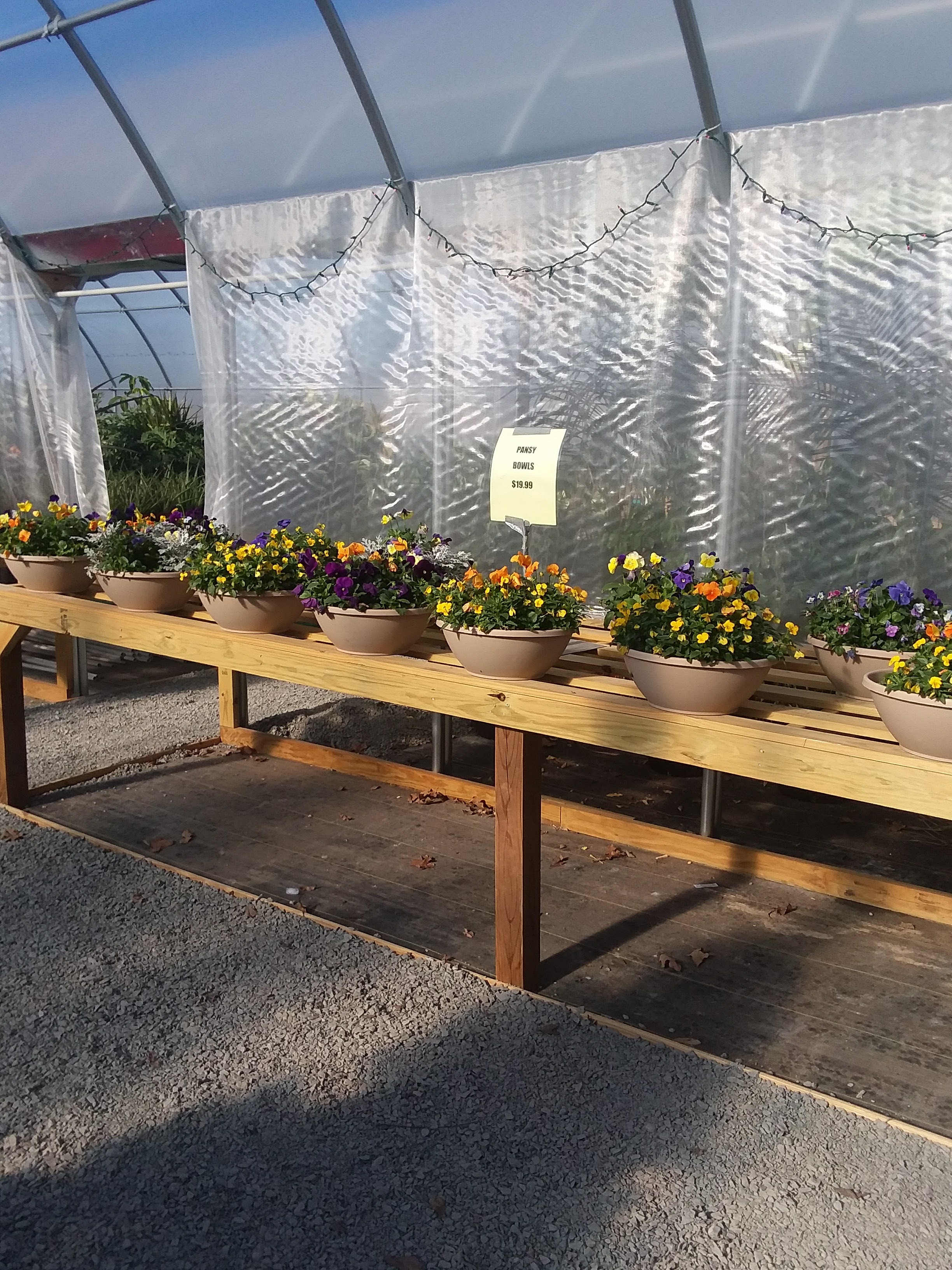 Little Country Greenhouse