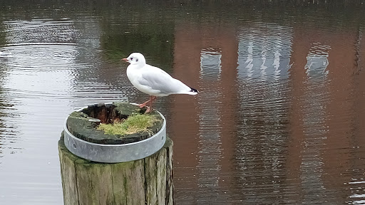 Nationalpark-Haus Husum - Thumbnail