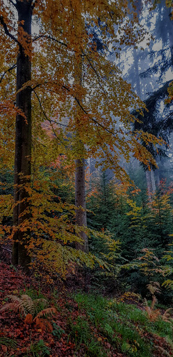 Löcherberg - Thumbnail
