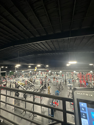 WHY GYM - Thumbnail