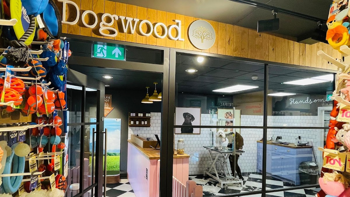 Dogwood Guildford Pet Grooming Spa store