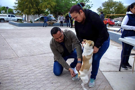 Centro de Rescate Animal y Control de Zoonosis - Thumbnail
