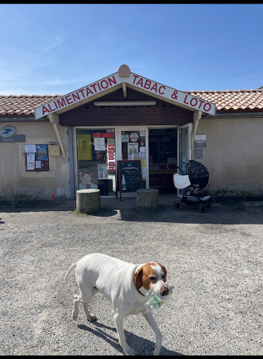 Photo de La Béthanie - Maraîchage Bio à Saint-Morillon (33650)
