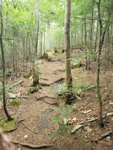 Sabattus Mountain Trail - Thumbnail