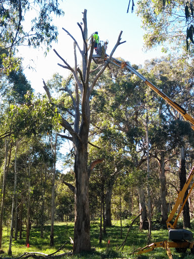 Mansfield Reserve - Thumbnail