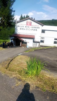 整体｜熊本腰痛肩こりケアセンター (もみほぐし/マッサージ/よもぎ蒸し) 熊本