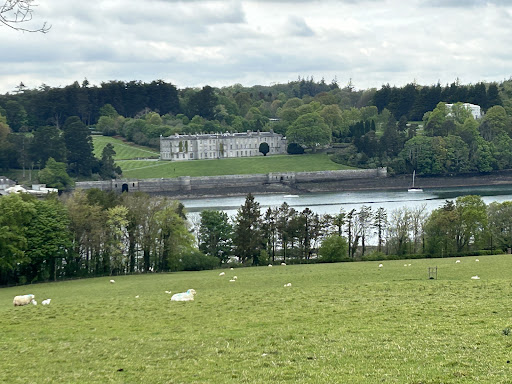 Glan Faenol - Thumbnail
