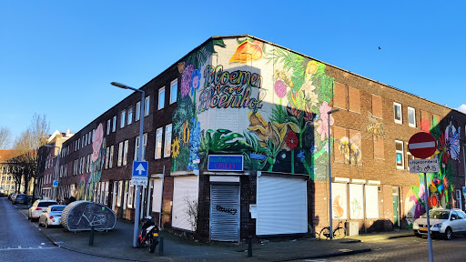 Hillevliet - Thumbnail