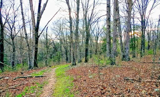 Bicentennial Conservation Area - Thumbnail
