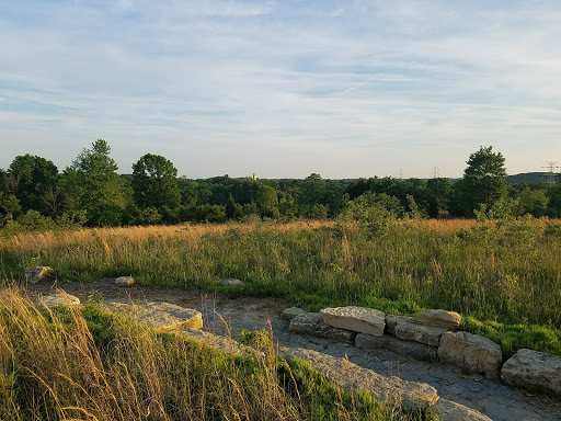 Boulder Pond - Visual