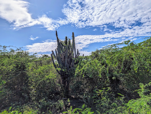 Punta Conejo - Thumbnail