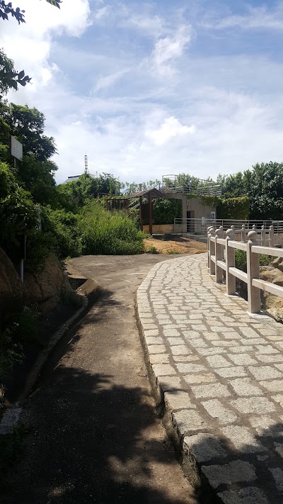 Photos of 路環龍爪角海岸徑