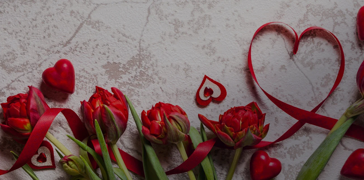 Spencer's Designer Florist, Gifts & Arrangements by null