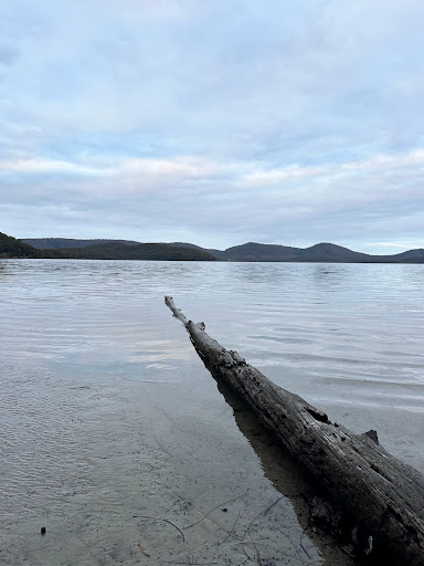Lakeside Track - Thumbnail