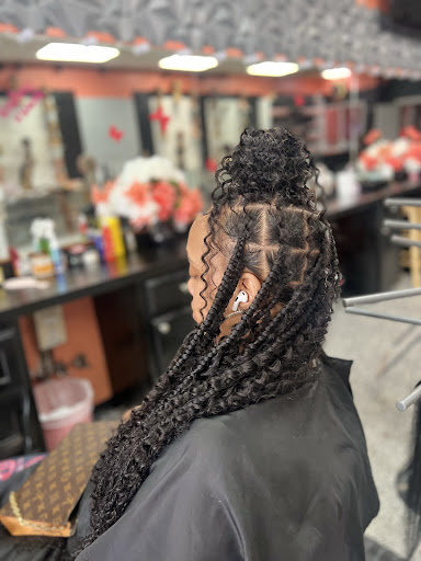 Fancy Braid by Lab's - Visual