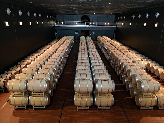 Tenuta Guado al Tasso - Bottega e degustazioni