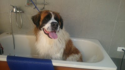 Photos of Solidarity Veterinary Clinic