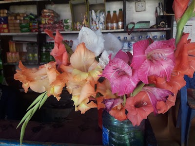 Photos of Gita Hotel and Lodge