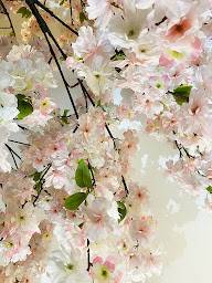 Photo n°34 de CYRA à Nancy (Restaurant)