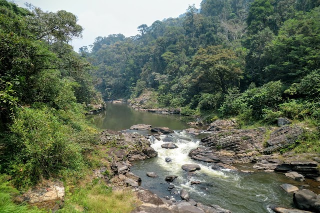 Parc national de Ranomafana