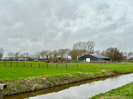 Honden uitrenveld - Thumbnail