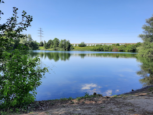 Discgolf Heywood Park