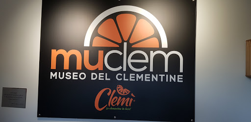 Muclem Museo del Clementine Gallery - Italy