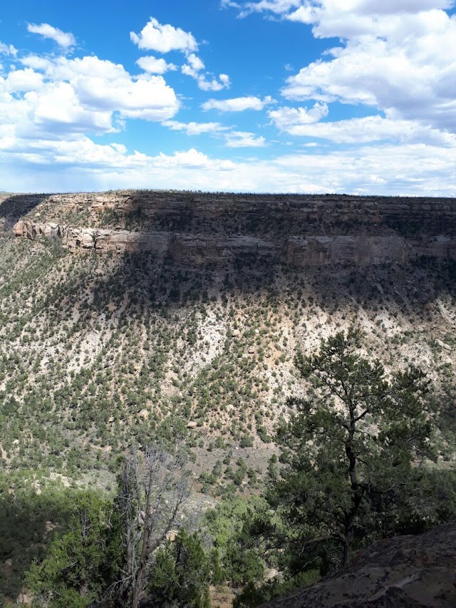 Mesa Verde National Park