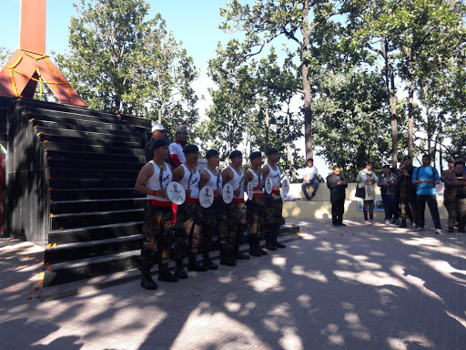 Gallery image 606