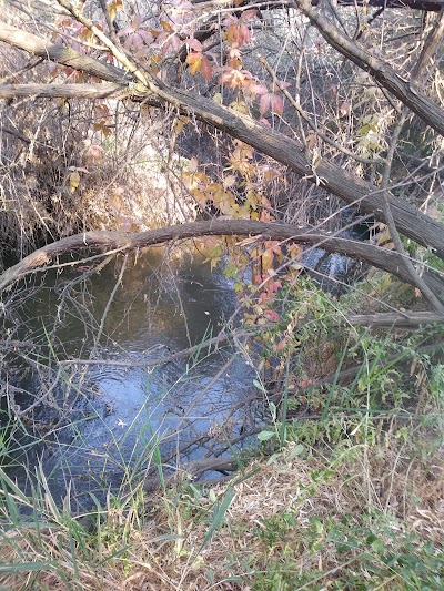 Yakima Delta Habitat Management Unit Lake Wallula