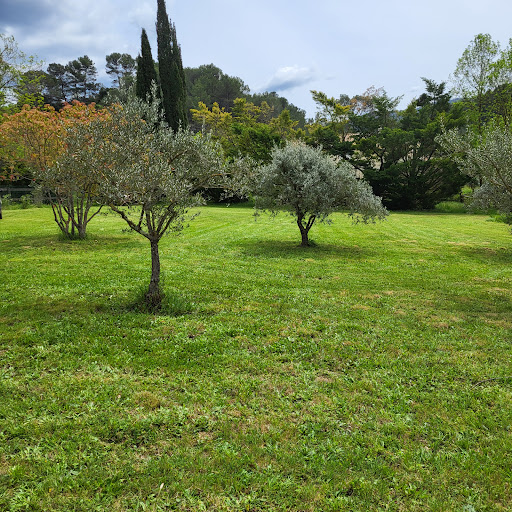 Photo de Sérénité Piscine et Jardins, multi services