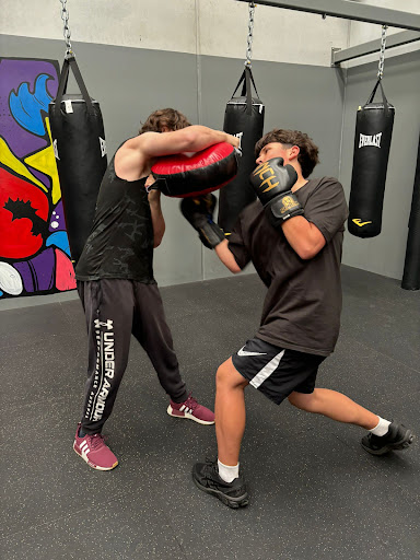 Michael's Pinnacle Fitness - Thumbnail