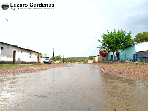 Sauces de Canutillo Ocampo Durango - Thumbnail