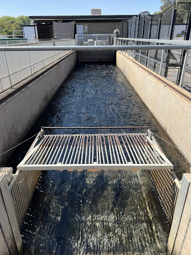 Feather River Fish Hatchery - Thumbnail