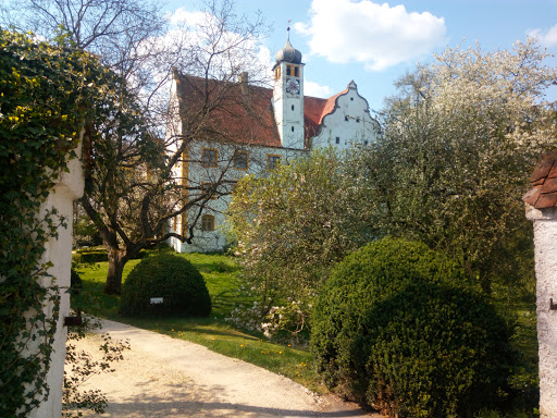 Haslangkreit - Visual