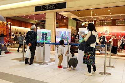 (株)アクア総合企画MUKASA