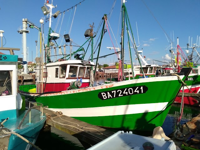 Port de Saint-Jean-de-Luz