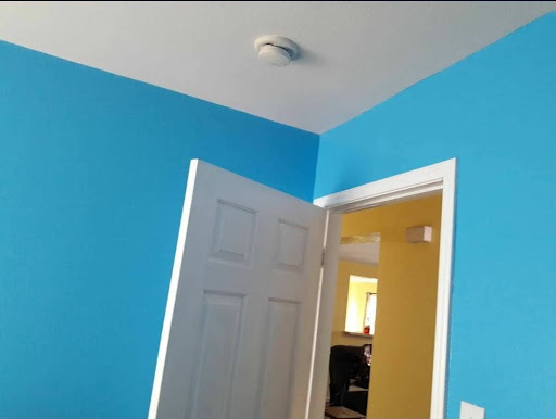 Nihilego Paint Gallery - United States