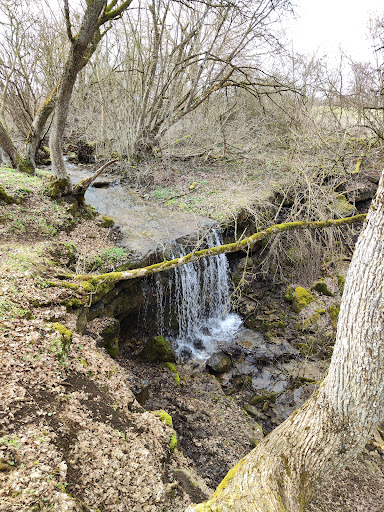 Mühlhauser Naturbadewelt