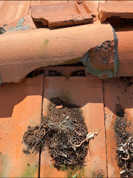 Photo n°11 de Dylan service couverture à Niort (Maçon)