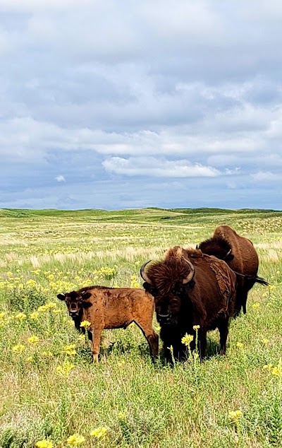 Niobrara Valley Preserve