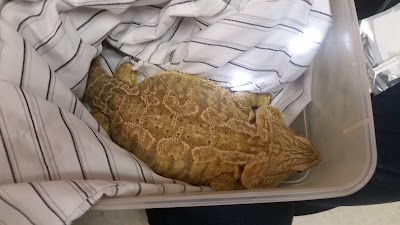 Photos of Woodland Animal Clinic