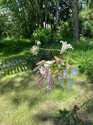 Photo n°35 de La croix des Granges -chambre d'hôtes - mariage- Dordogne - Périgord à Chapdeuil (Chambre d'hôtes)