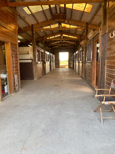 Willow Farm - Visual