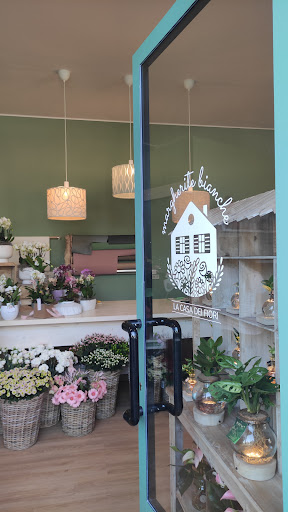 Margherite Bianche | La casa dei fiori - Thumbnail